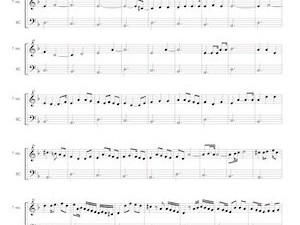 Transcripción: improvisación sobre Passacaglia (Varsovia, 2014)